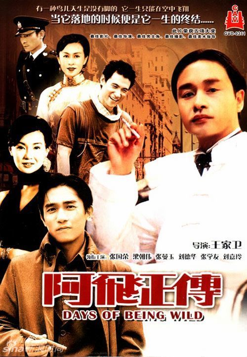 南安普顿索伦特大学学士证书